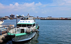 IMG_3381.JPG