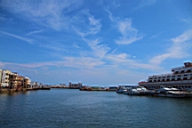 IMG_3384.JPG