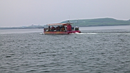 IMG_3419.JPG
