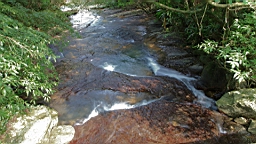 IMG_6282.JPG