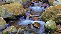 IMG_6284.JPG