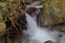 IMG_6286.JPG