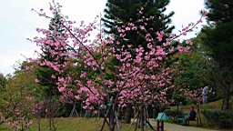 2014-02-020764.JPG