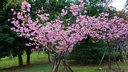 2014-02-020767.JPG