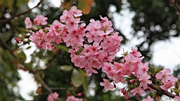 2014-02-020768.JPG
