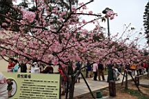 2014-02-020776.JPG