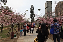 2014-02-020777.JPG