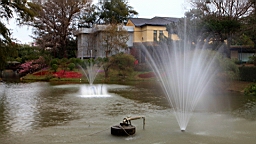 2014-02-020784.JPG