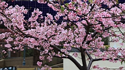 2014-02-020786.JPG