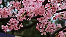 2014-02-020789.JPG