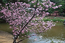 2014-02-020801.JPG