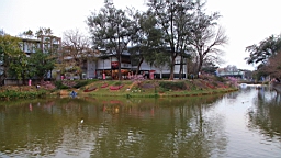 2014-02-020806.JPG