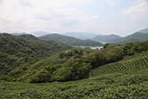 2014-04-173542.JPG