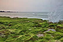 2014-04-173633.jpg