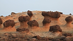 2014-04-183678.JPG