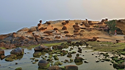 2014-04-183685.JPG