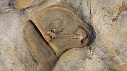 2014-04-183736.JPG