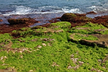 2014-04-183753.JPG