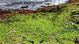 2014-04-183757.JPG