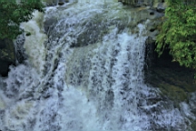 2014-05-293872.JPG