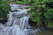 2014-05-293873.JPG