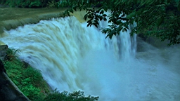 2014-05-293875.JPG