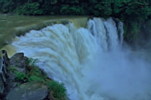 2014-05-293879.JPG