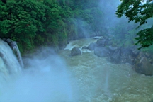 2014-05-293880.JPG