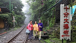 2014-05-293889.JPG