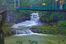 2014-05-293892.JPG