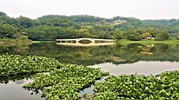 20161018_163441.jpg