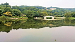 20161018_163718.jpg