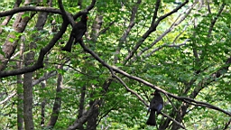 IMG_1700.JPG