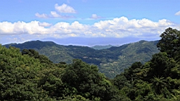 IMG_1708.JPG