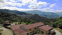 IMG_1710.JPG