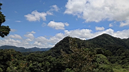 IMG_1714.JPG