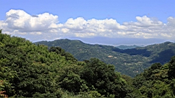 IMG_1722.JPG
