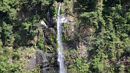 IMG_1794.JPG