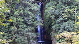 IMG_1835.JPG
