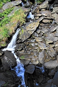 IMG_1844.JPG