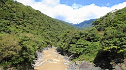 IMG_1858.JPG