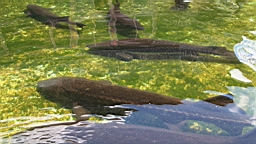 IMG_1876.JPG