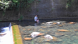 IMG_1877.JPG