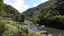 IMG_1879.JPG