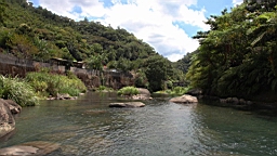 IMG_1890.JPG