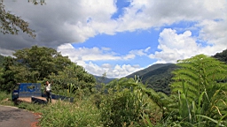 IMG_1895.JPG