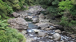 IMG_1898.JPG