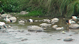 DSC00069.JPG