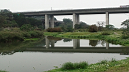 DSC00073.JPG