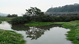 DSC00075.JPG